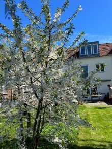 Gartenimpression Sofort einziehen. Garten-Paradies. Feldrandlage.