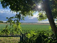 Feldblick Sofort einziehen. Garten-Paradies. Feldrandlage.