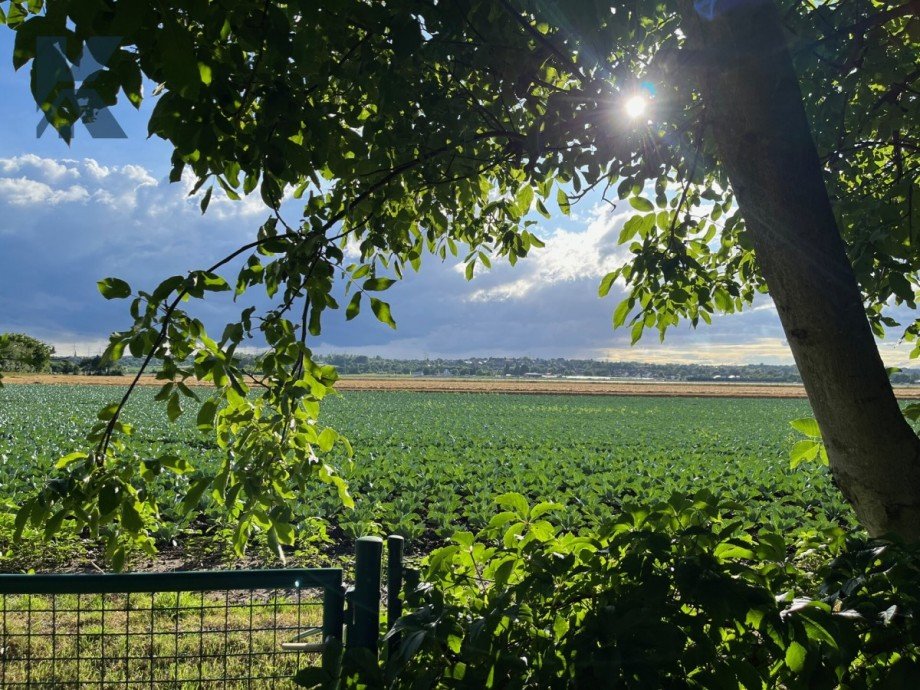 Feldblick Reihenmittelhaus K�ln / Meschenich